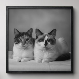 Custom 4K Black & White Pet Prof Peel and Stick Photo Tile