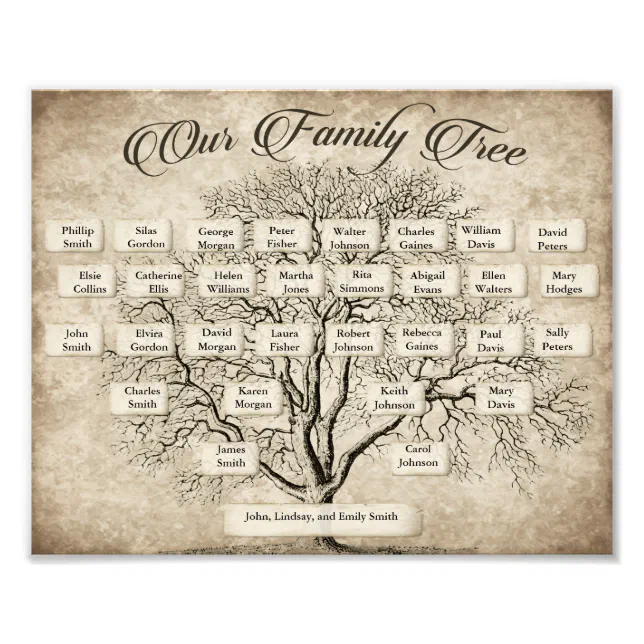 Custom 5 Generation Family Tree Chart Photo Print | Zazzle