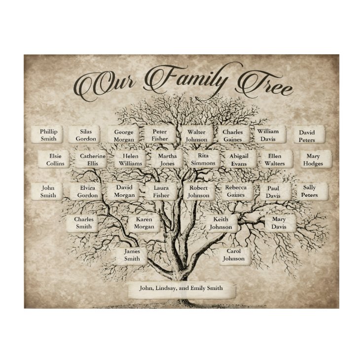 Custom 5 Generation Family Tree Chart Template Acrylic Print | Zazzle