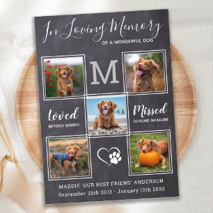 Custom 5 Photos Pet Memorial Celebration Of Life Invitation