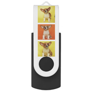 Custom 6 Photo Collage Your Pet Dog Picture On Flash Drive