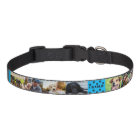 Custom 8 Pet Photo Collage Dog Name  Pet Collar