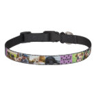 Custom 8 Pet Photo Collage Dog Name  Pet Collar