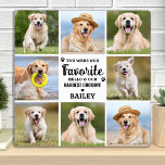 Custom 8 Photo Collage Pet Dog Loss Remembrance Plaque<br><div class="desc">Celebrate your best friend with a custom pet memorial photo collage plaque in a modern design. This unique pet memorial dog photo plaque is the perfect gift for yourself, family or friends to honor those loved . Quote " You were my favorite hello and my hardest goodbye" . When you...</div>
