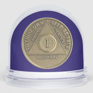 CUSTOM A Miracle Happened and 1 Year Sober AA Coin Snow Globe