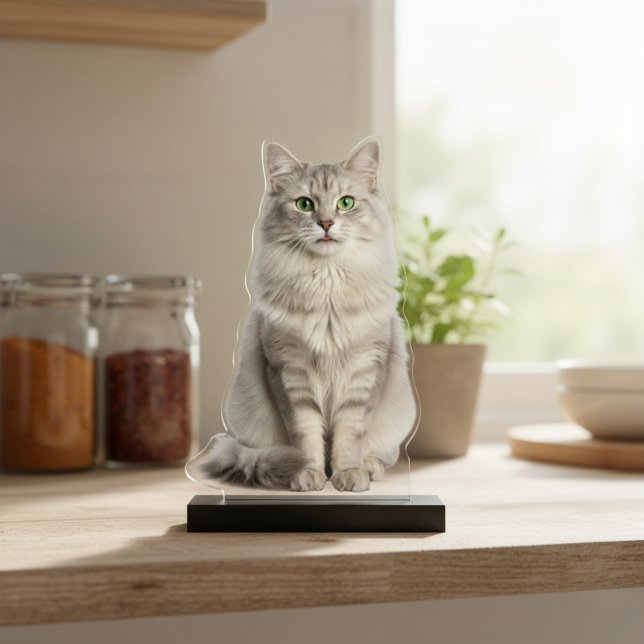 Custom Acrylic Cat Photo Cutout Statue (Custom Acrylic Cat Photo Cutout Statue)