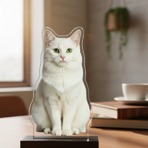 Custom Acrylic Cat Photo Cutout Statue