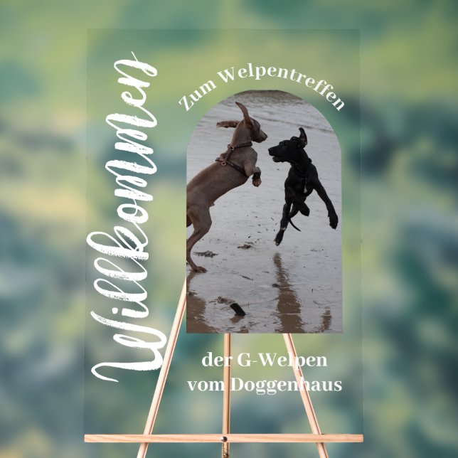 Custom Acrylic Photo Sign – Great Dane Edition (Neutral)