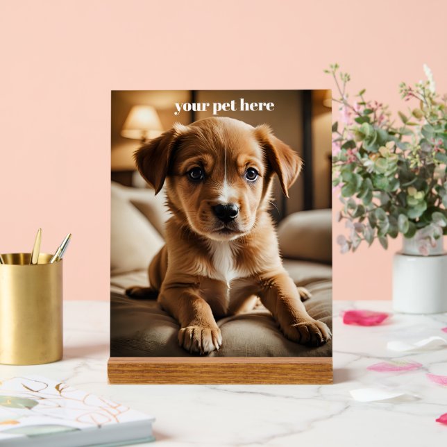 Custom Acrylic Sign (Wedding)