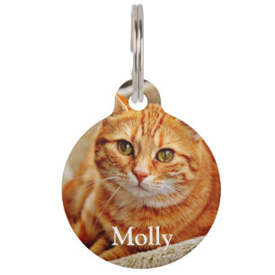 Custom add your favorite pet cat photo and details pet ID tag