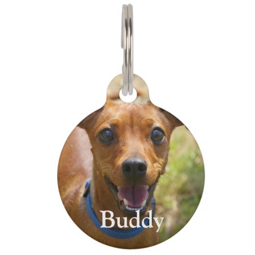 Custom add your favorite pet dog photo and details pet ID tag