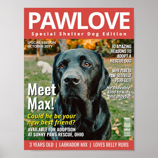 Custom Adopt a Pet Magazine Cover, Animal Shelter Poster (Front)