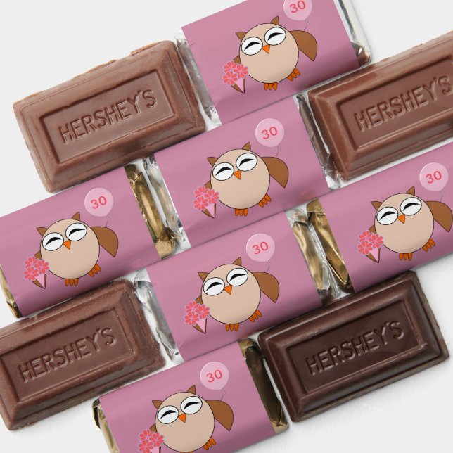 Custom Age Birthday Owl Hershey's Miniatures (Assorted)