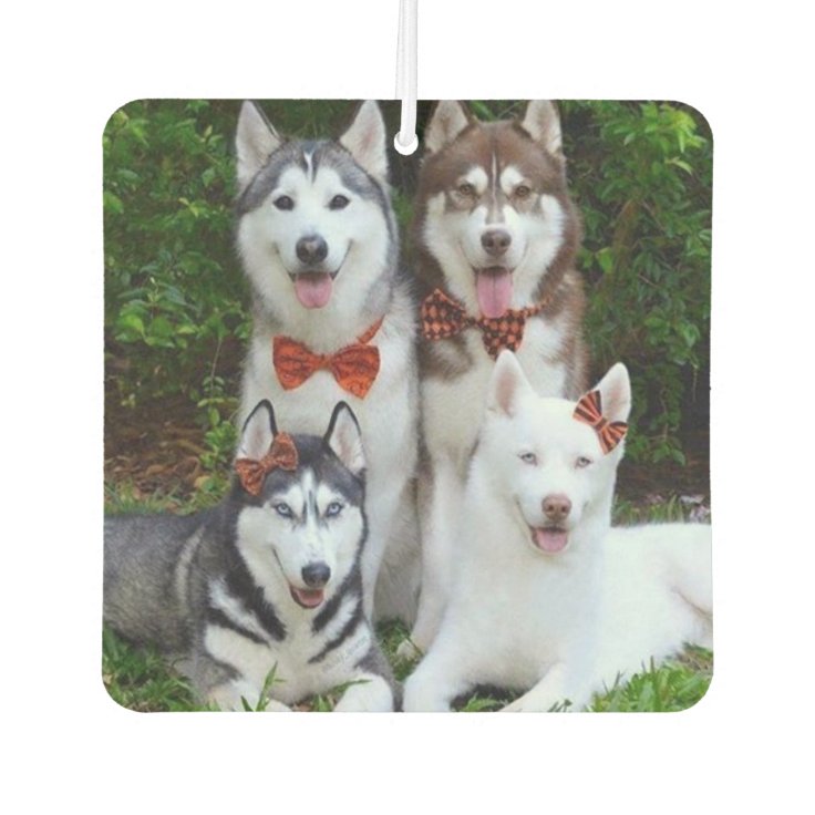 Custom Air Freshener Your Pets Zazzle