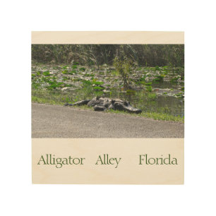 Custom Alligator Alley Florida Wildlife Nature Wood Wall Art
