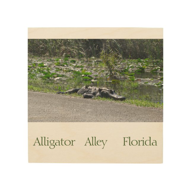 Custom Alligator Alley Florida Wildlife Nature Wood Wall Art (Front)