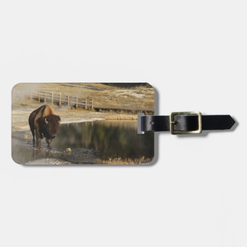 Custom American Bison Yellowstone Wildlife Photo Luggage Tag