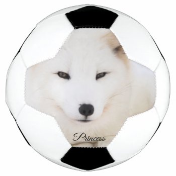 Custom Animal Your Own Photo With Text Soccer Ball by Nordic_designs at Zazzle