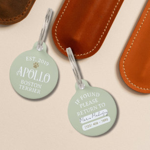 Custom Arched Script Typography Pet Name ID Tag