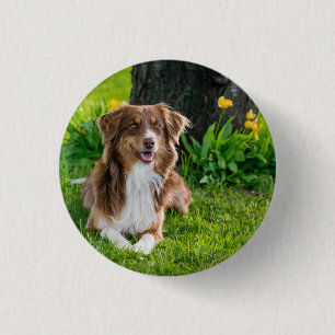 Custom Australian Shepherd Dog Pet Photo Button