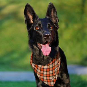 Custom Autumn Pumpkin Orange Brown Black Tartan Pet Bandana Collar