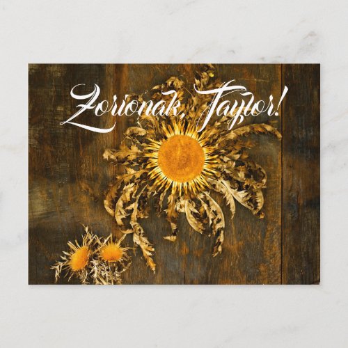 Custom Basque symbol Eguzkilore or sun flower Postcard