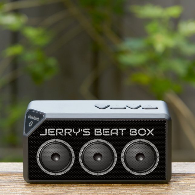 Custom Beat Box Speaker (Insitu(Outdoor))