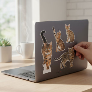 Custom Bengal Cat Sticker Sheet