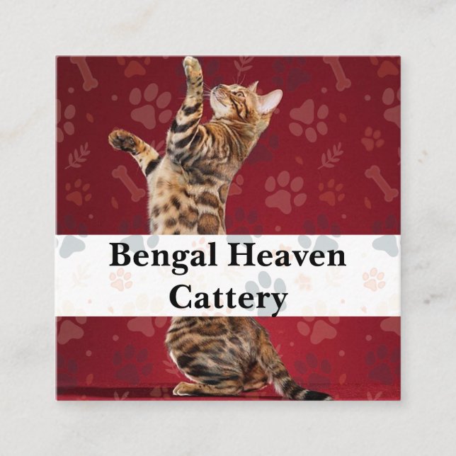 Custom Bengal Heaven Cattery Business Card  (Front)