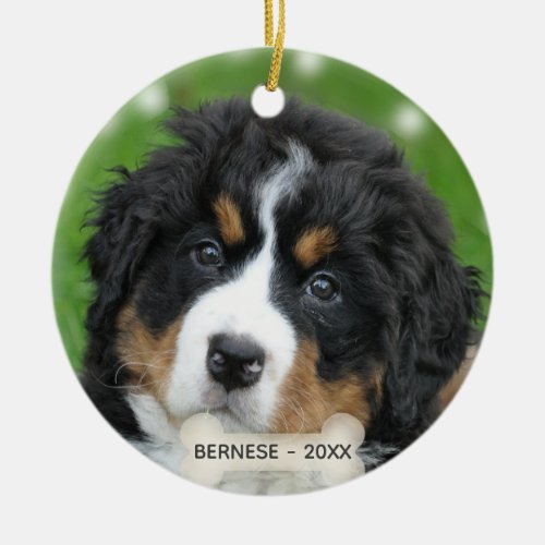 Custom Bernese Mountain Dog Photo Ceramic Ornament
