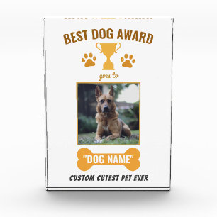 Custom Best Dog Photo Cutest Pet Paw Bone Trophy Acrylic Award