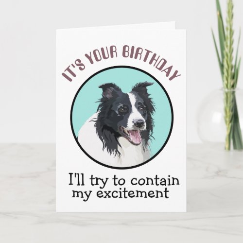 Custom Birthday Card From Your Border Collie