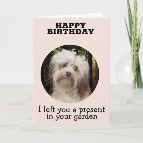 Custom Birthday Card from your havanese