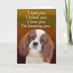 Custom Birthday Card King Charles Cavalier