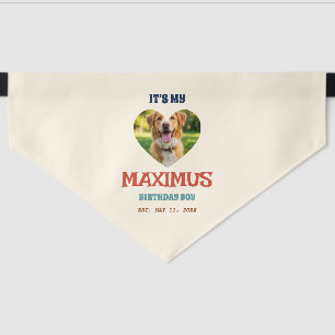 Custom Birthday Dog Bandana, Vintage 70s Retro Pet Bandana Collar