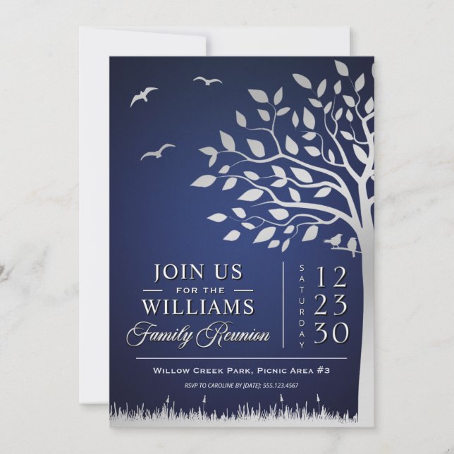 Custom Blue Silver Family Reunion Invitation (Front)