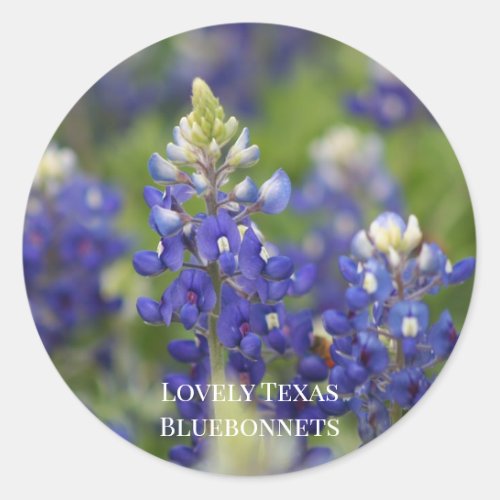Custom Blue Spring Bluebonnet Texas State Flower Classic Round Sticker