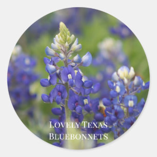 Custom Blue Spring Bluebonnet Texas State Flower Classic Round Sticker