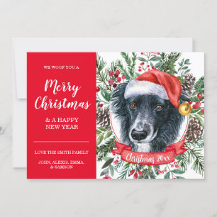 Custom Border Collie Inexpensive Christmas Card