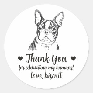 Custom Boston Terrier Dog Wedding Favor Stickers