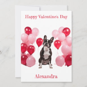 Custom Boston Terrier Pink Red Balloons Valentine Holiday Card