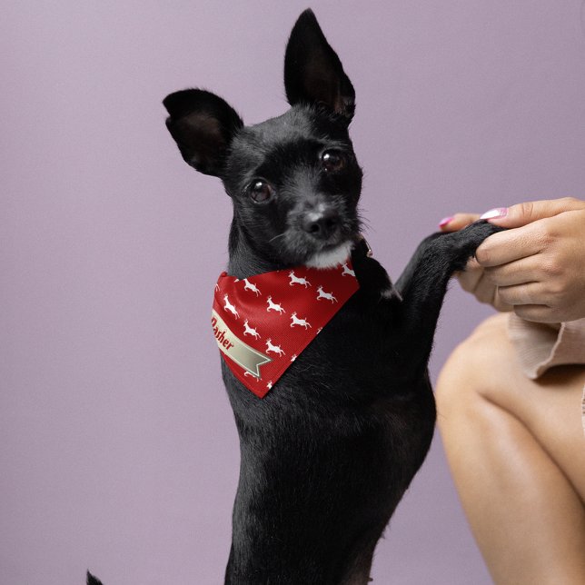Custom Bronze Ribbon Edge Red White Deer Pet Bandana Collar (Creator Uploaded)