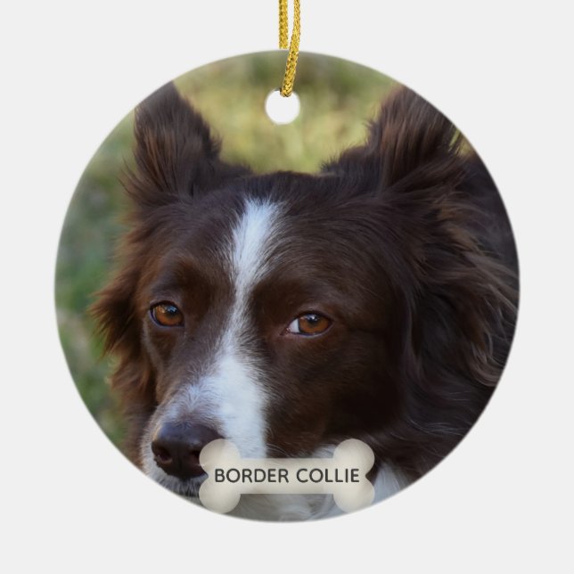 Custom Brown Border Collie Dog Photo Ceramic Ornament (Front)