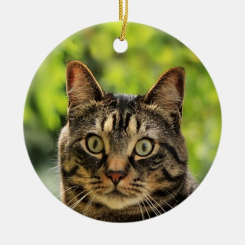 Custom Brown Tabby Cat Photo Ceramic Ornament