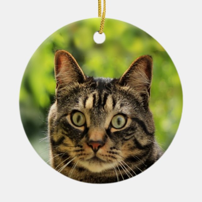 Custom Brown Tabby Cat Photo Ceramic Ornament (Front)