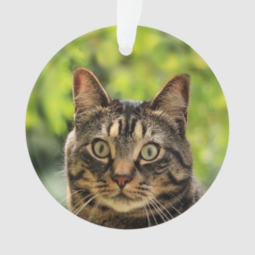 Custom Brown Tabby Cat Photo Ornament