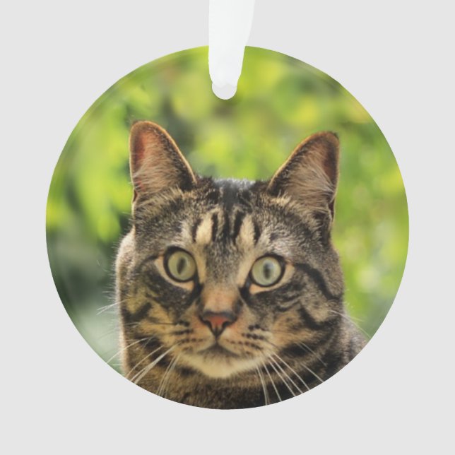 Custom Brown Tabby Cat Photo Ornament (Front)