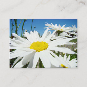 Custom Business Card White Daisy Flower Garden