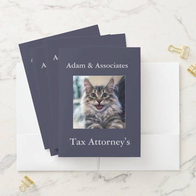 Custom Business Pocket Folder (In Situ)