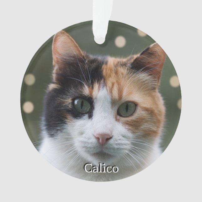 Custom Calico Cat Photo Personalized Ornament (Front)